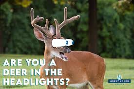 images?q=tbn:ANd9GcRcX-xe7OOexME8qlCU6Cf