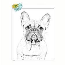 We did not find results for: Disegni Da Colorare E Stampare Gratis Per Bambini In Pdf Gbr
