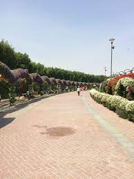 Dubai Miracle Gardens Organic Gardening Magazine Dubai Garden Miracle Garden
