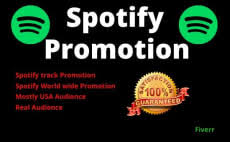 24 best viral spotify services to buy online fiverr