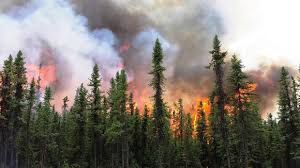 10 images that reveal what we've learned about mars after decades of exploration. 2015 Worst Us Wildfire Year On Record Earth Earthsky
