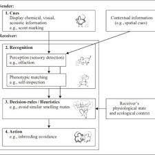 Pdf Kin Recognition An Overview Of Conceptual Issues Mechanisms And Evolutionary Theory