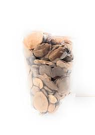 Image result for Hunteria congolana