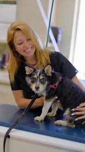 After six years of life in and out of the shelter, Kenzi found her perfect  home. You made it possible! Read how inside.