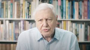 Britain's prince george holds the tooth of a giant shark given to him by david attenborough on september 24. Sir David Attenborough Backs Process That Recycles All Types Of Plastic