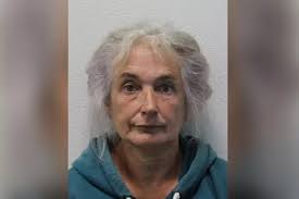 Climate protester, 70, glues herself to building