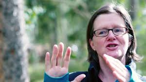 Micro Campers: What are They? (And Some Models We Like)