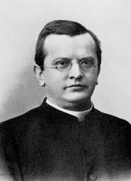 Wissenswertes über die Revue