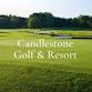 IONIA COUNTY CRITICAL INCIDENT TEAM GOLF OUTING 2026