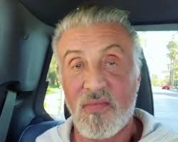 Only 1 available and it's in 2 people's carts. Sylvester Stallone Ditches Hair Dye To Debut Full Head Of Gray Hair People Com
