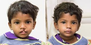 Rotary District Newsletter