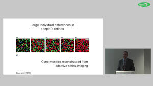 Fashion, home & garden, electronics, motors, collectibles & arts Seoul Semiconductor