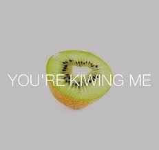 Kiwi Pun Food Puns Funny Food Puns Fruit Puns