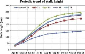 Best Suited Timing Schedule Of Inorganic Npk Fertilizers And