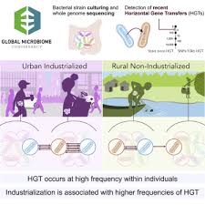 Types of instruments transferring title the following types of instruments transfer title Elevated Rates Of Horizontal Gene Transfer In The Industrialized Human Microbiome Sciencedirect