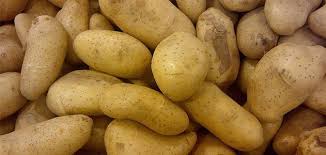 See full list on eatbydate.com Horrific Tales Of Potatoes That Caused Mass Sickness And Even Death Arts Culture Smithsonian Magazine
