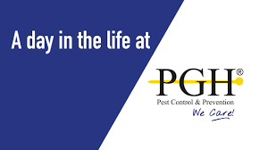 It was written by brian wilson and the group's manager jack rieley, who also performed lead vocal. A Day In The Life At Pgh Pest Control Youtube