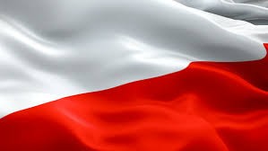 We did not find results for: Poland Flag Video Waving In Stock Footage Video 100 Royalty Free 1022918089 Shutterstock