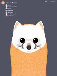 Japanese Marten Endangered Animals Animal Graphic Animal Illustration