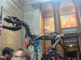 The Entrance Of The American Museum Of Natural History Paleontology History Museum Natural History