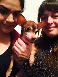 Update: Reunited!! Anyone recognize?! Female found close to Pinkley