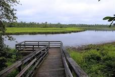 Trail Workday at Cumberland Marsh Preserve
