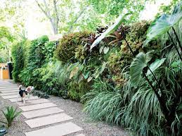 (courtesy of the theodore payne foundation for. Amazing Backyard Ideas Sunset Sunset Magazine