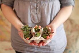 Lots of small plants at small prices. Pin Em Plantas Jardins E Verdes