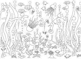 Kostenlose Ausmalbilder Unterwasserwelt Meerestiere Fur Kinder