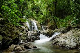 Kabupaten sarolangun adalah salah satu. 10 Destinasi Wisata Menarik Di Sarolangun Jangan Sampai Terlewatkan Destinasi Travel Indonesia