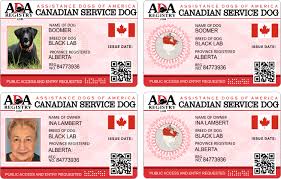 The ada does not require service dogs to be professionally trained. How To Register A Dog As A Service Dog Arxiusarquitectura