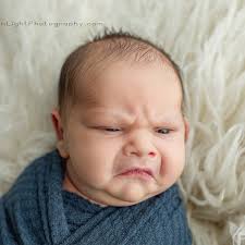 28 Jul 25. Grumpy doing his happy dance after securing breakfast.