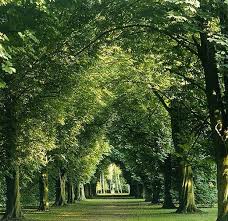 Gardenrant Anglesea Abbey Gardens Cambridgeshire England Places To See Cambridgeshire Places To Go