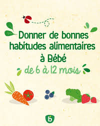 Donner De Bonnes Habitudes Alimentaires A Bebe De 6 A 12 Mois En 2020 Bonnes Habitudes Habitudes Alimentaires Habitudes