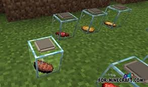 Purchasing a premium server will install the modpack automatically free of … Jars And Plates Addon For Minecraft Pe 1 16