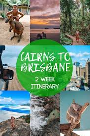 Epic Cairns To Brisbane Or Viceversa 2 Week Road Trip Australia Itinerary Road Trip Planning East Coast Road Trip