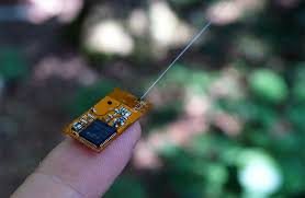 Fingertip Sized Backpack Computers With Wireless Networks For Precise Tracking Of Tiny Wild Animals An overview of qatar's oil and gas industry' icc qatar and refinitiv organized a webinar on: precise tracking of tiny wild animals