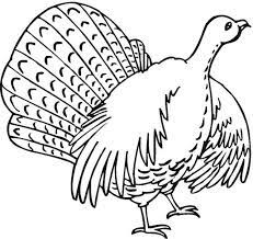 Download our thanksgiving bundle of 170+ pages of printable thanksgiving activities all at once here! Print These Free Turkey Coloring Pages For The Kids