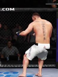 After stipe miocic vs daniel cormier iii. 5 Ufc Fighters With The Craziest Leg Reaches Howtheyplay