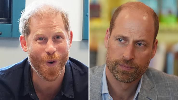 Prince Harry breaks silence on William during UK trip, sparking reunion  rumours