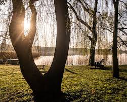 Guten Morgen Uckermark Guten Morgen Prenzlau Unteruckersee Amwasser Uckermark Erleben Instagram Instagram Bilder Prenzlau