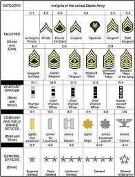 Find Many Great New Used Options And Get The Best Deals For Insignia Of The U S Army Ranks Poster 24 X 36 Inch In 2020 Army Ranks Military Ranks Army Basic Training