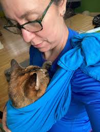 Robin Kinney, Pre-Licensed Professional, Madison, WI, 53719