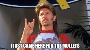 I wrote this up earlier today then saved it in drafts to go look up usernames, but i'm, ah, having a medication reaction and have the attention span of a gnat. Joe Dirt Memes Gifs Imgflip