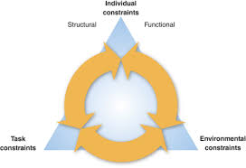 Model where movement is determined by an interaction of different constraints: Week 1 Units 1 2 Flashcards Quizlet