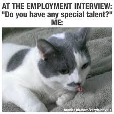 We All Have A Special Talent Very Funny Pics Funny Animal Memes Funny Memes Funny Cat Memes