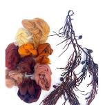Seaweed Color Study with Sasha Duerr: June 27-28
