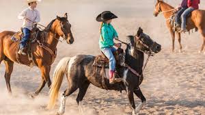 I highly recommend trail brothers for horseback riding in the sacramento/roseville area! Horse Riding Safety Tips For Kids Plus Riding Lessons Info
