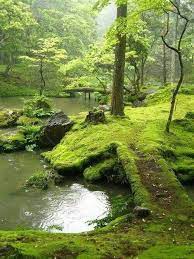 Kyoto Japan Walking Trails Beautiful Nature Moss Garden Japanese Garden