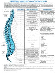 The Vertebral Subluxation And Nerve Chart